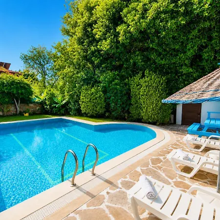 Garden Island * داليان